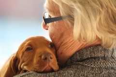 ocitocina, hormônio do amor abraço cachorro