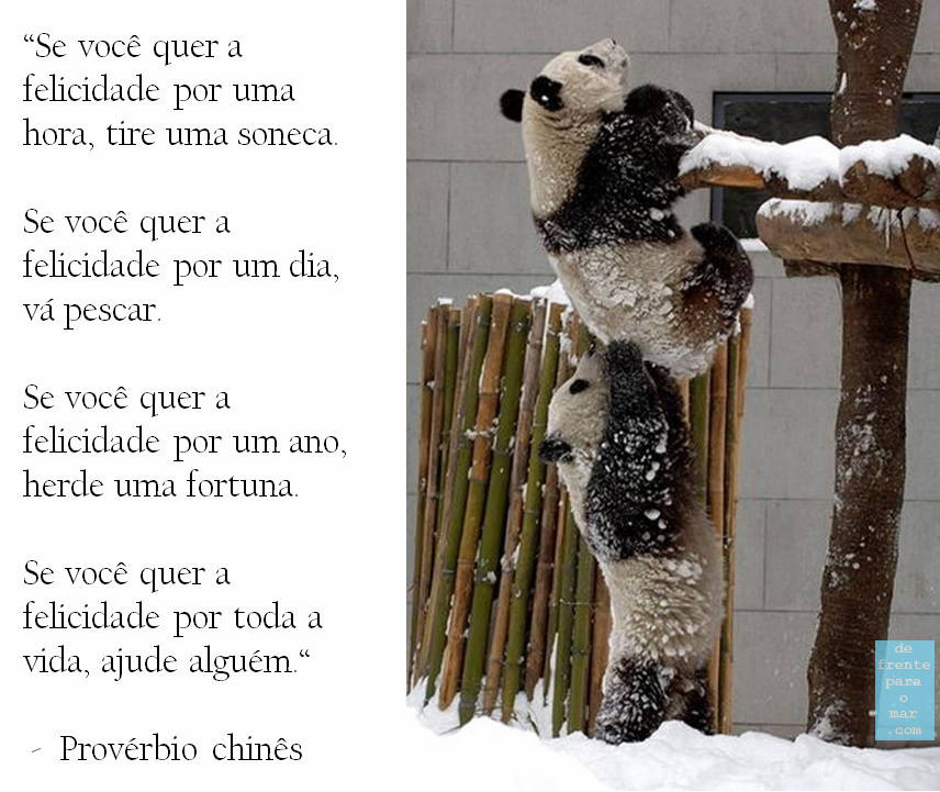 a felicidade - assopraquesara - frase do dia