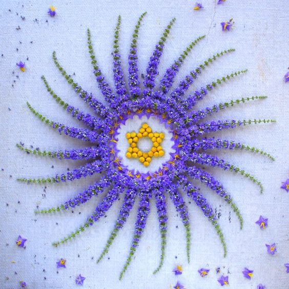 O poder da mandala. Mandala de Kathy Klein com flores naturais , belíssimas!