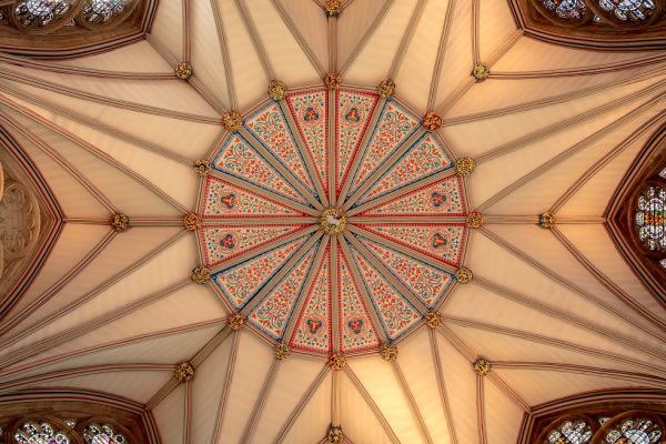 o poder da mandala