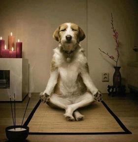 01-alimentos-para-alma-meditacao
