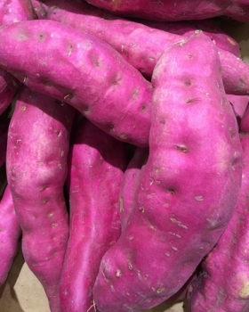 05-superalimento-batata-doce