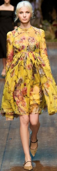 famosas plus size - Adele com Dolce e Gabbana
