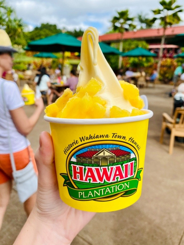 Aloha! Seja bem-vindo ao Hawaii !