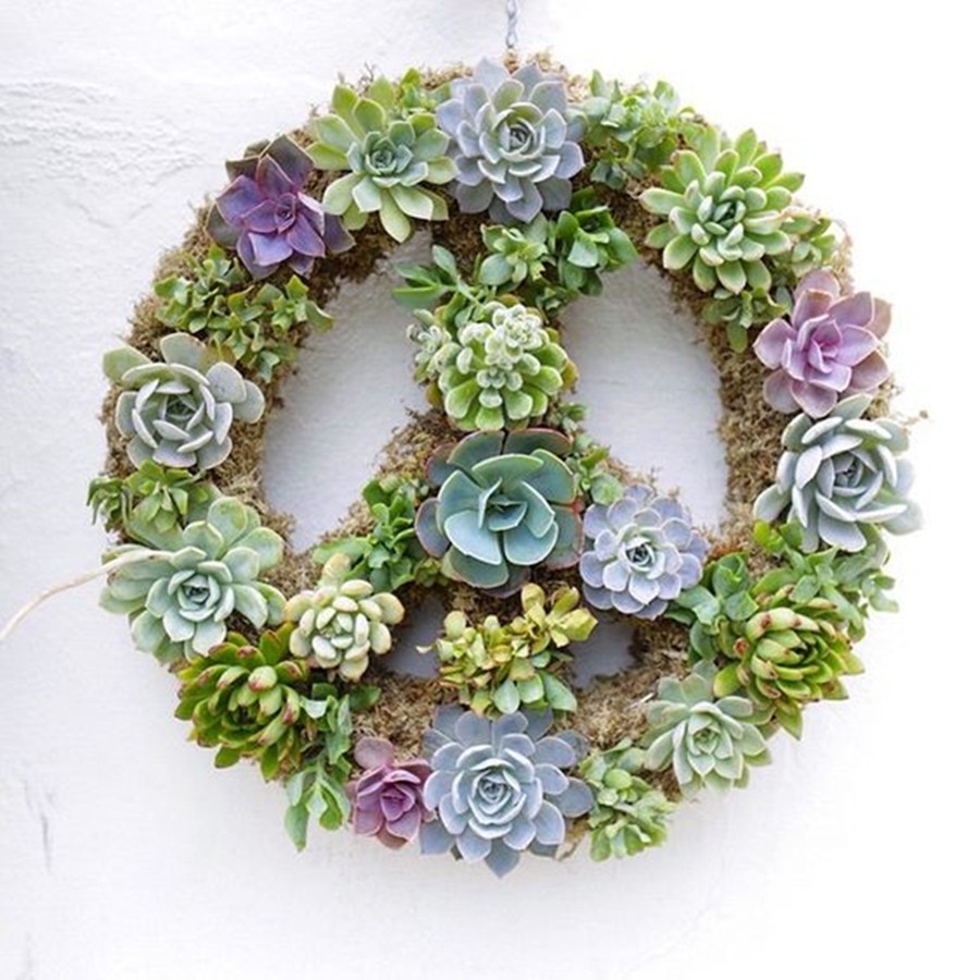 DIY Decor : Paz e Amor - o símbolo da Paz - suculentas