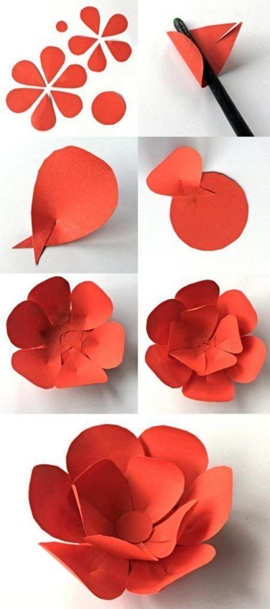 Passo-a-passo de flores de papel