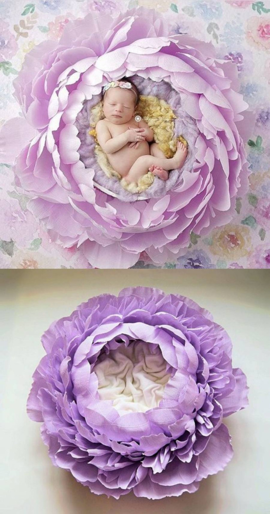 Fotografar newborn em flor gigante de papel