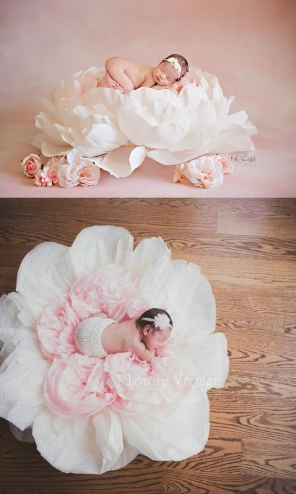 Fotografar newborn em flor gigante de papel