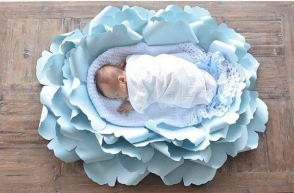 Fotografar newborn em flor gigante de papel