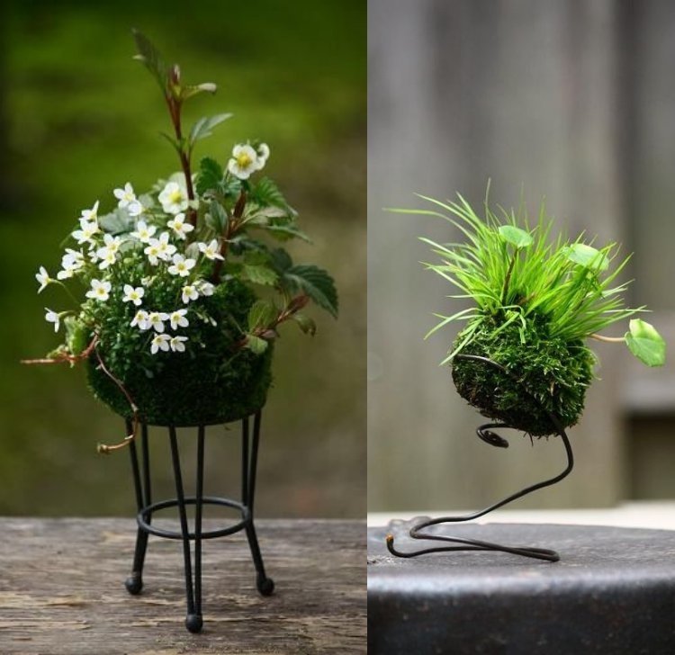 DIY: 25 ideias para plantar utilizando a arte do kokedama