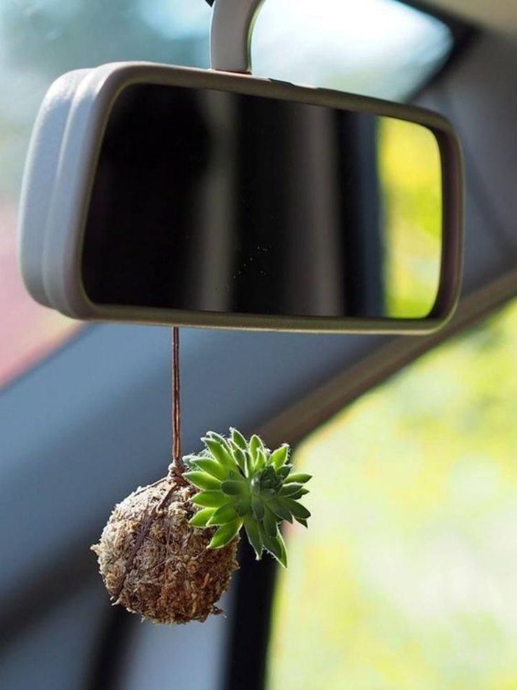 DIY: 25 ideias para plantar utilizando a arte do kokedama