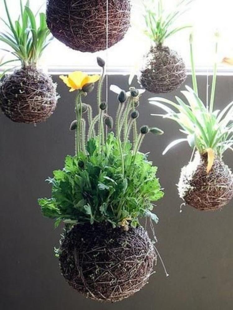 DIY: 25 ideias para plantar utilizando a arte do kokedama