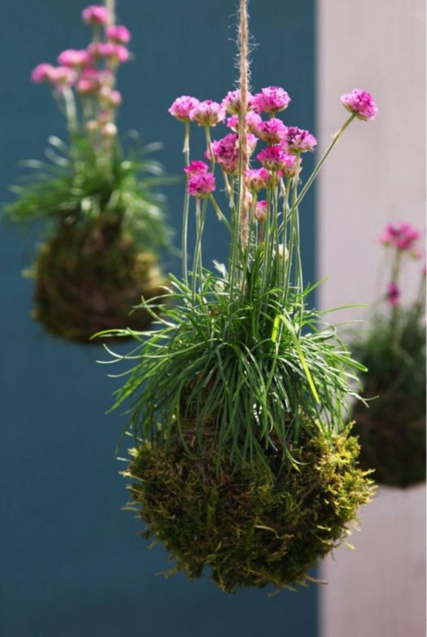 DIY: 25 ideias para plantar utilizando a arte do kokedama