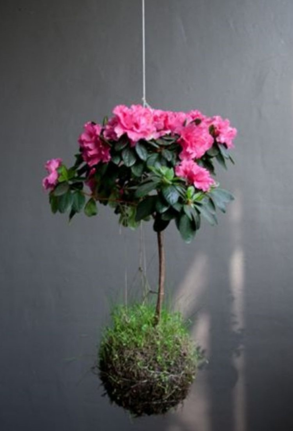 DIY: 25 ideias para plantar utilizando a arte do kokedama