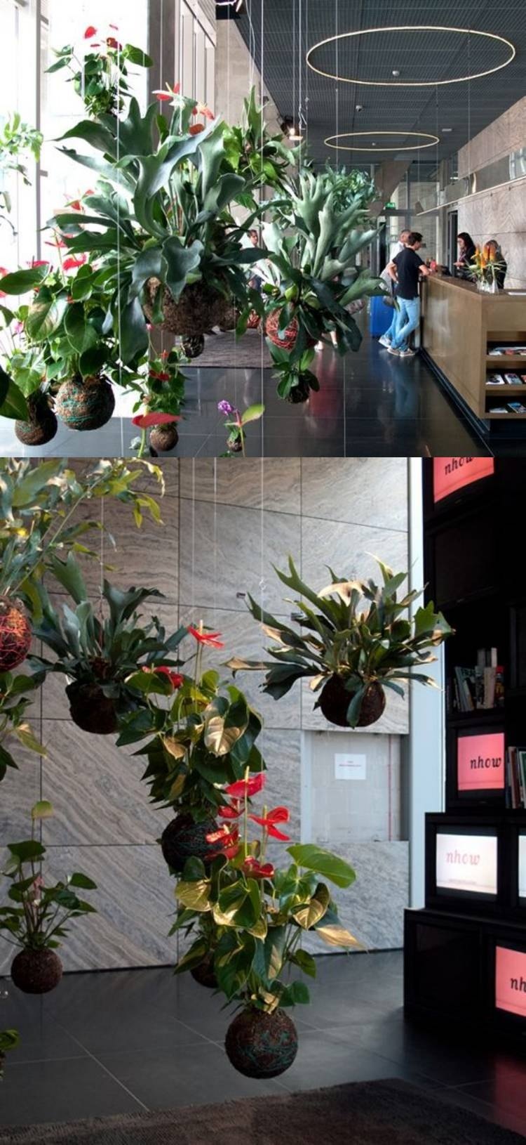 DIY: 25 ideias para plantar utilizando a arte do kokedama