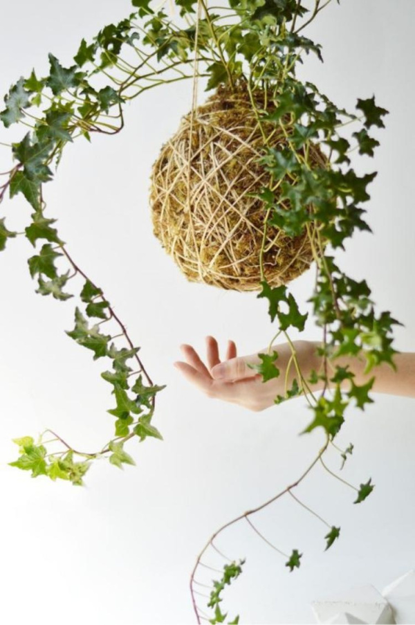 DIY: 25 ideias para plantar utilizando a arte do kokedama