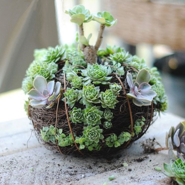 DIY: 25 ideias para plantar utilizando a arte do kokedama