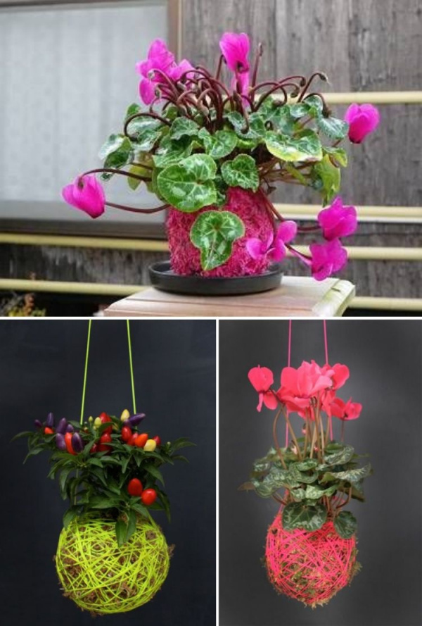 DIY: 25 ideias para plantar utilizando a arte do kokedama
