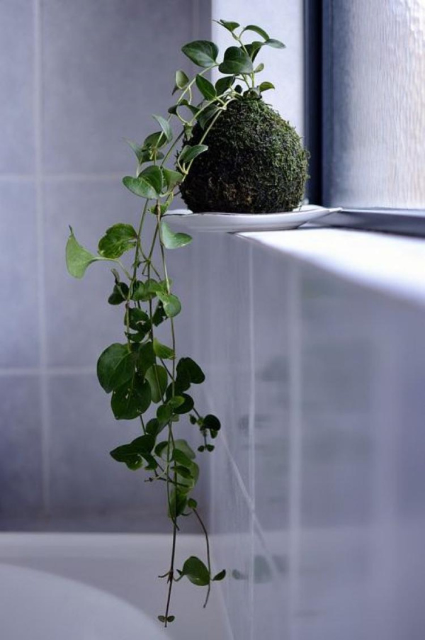 DIY: 25 ideias para plantar utilizando a arte do kokedama