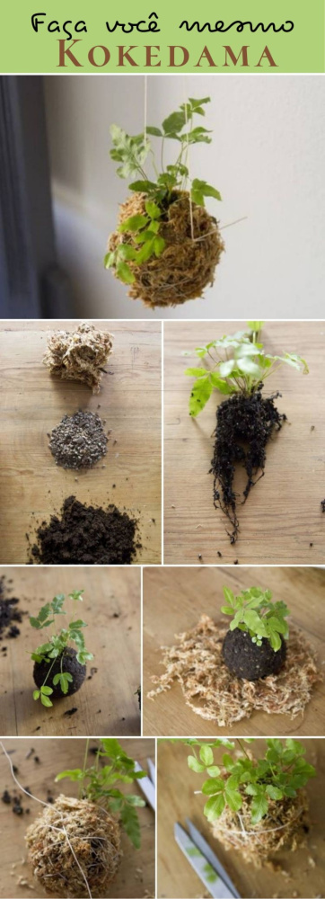 DIY: 25 ideias para plantar utilizando a arte do kokedama