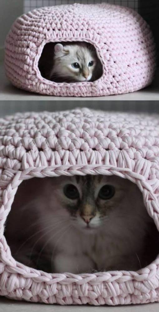 28 Ideias de cama para o seu pet