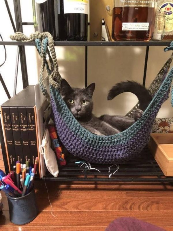 28 Ideias de cama para o seu pet