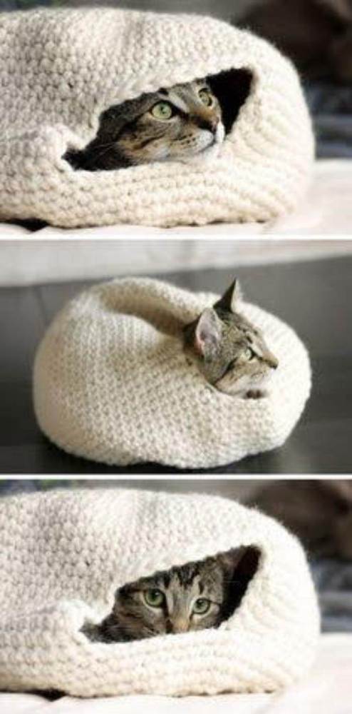 28 Ideias de cama para o seu pet