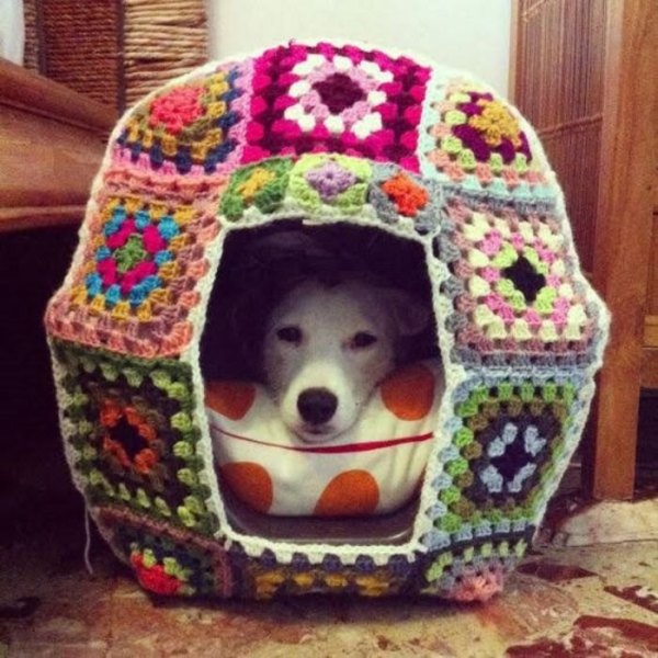 28 Ideias de cama para o seu pet