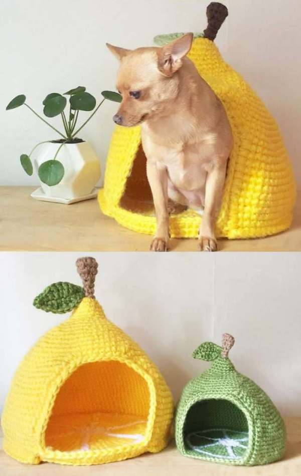 28 Ideias de cama para o seu pet