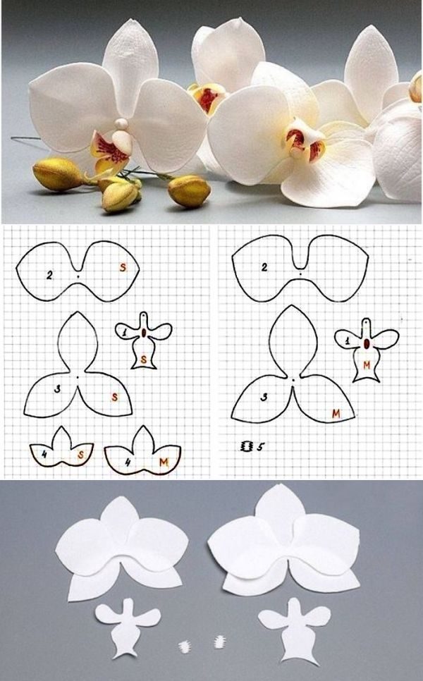 Ideias e modelos de flores de papel gigante - a orquídea