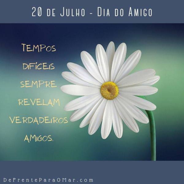 10 lindas frases para o Dia do Amigo - 20 de Julho