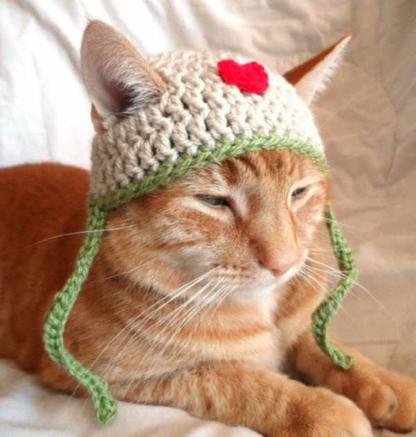 14 modelos divertidos de chapéus para pets