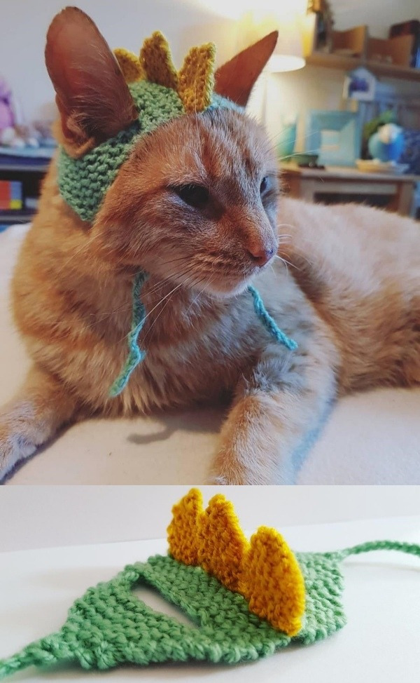 14 modelos divertidos de chapéus para pets