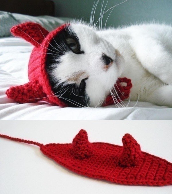 14 modelos divertidos de chapéus para pets