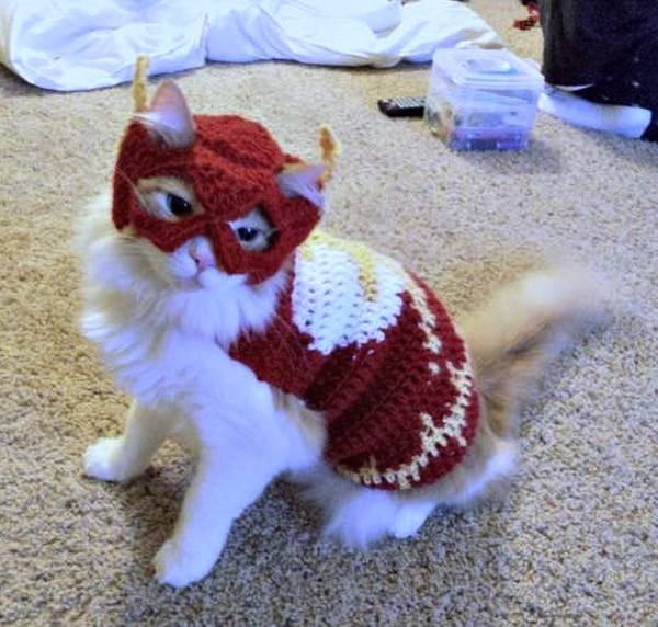 12 Inspirações de chapéu para gatos criativos e divertidos