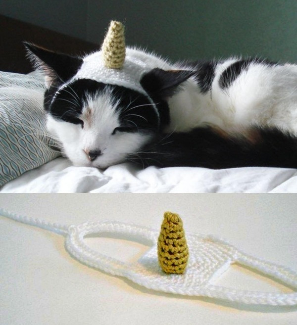12 Inspirações de chapéu para gatos criativos e divertidos