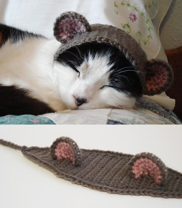 12 Inspirações de chapéu para gatos criativos e divertidos