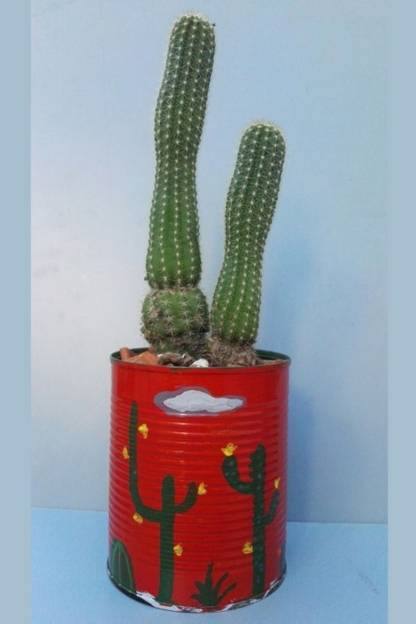 Recicle, Reuse, Refaça : Ideias para reciclar latas