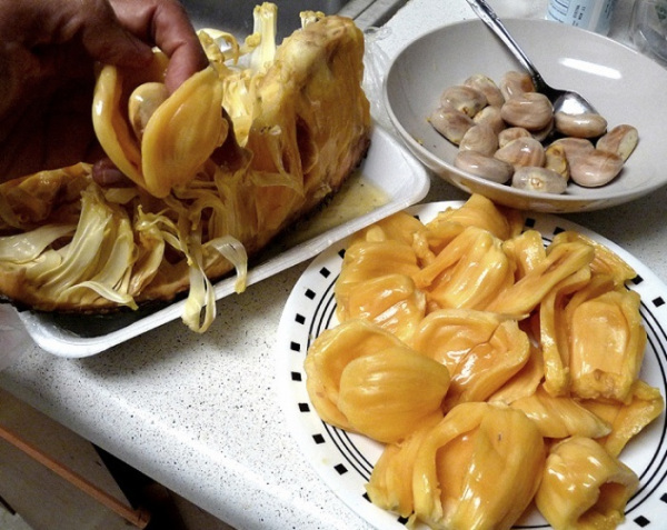 Como preparar a carne de jaca, a carne (vegana) da vez!
