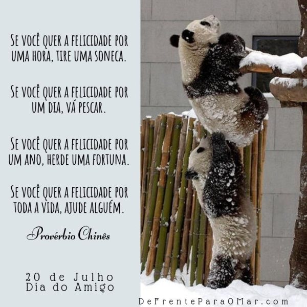 14 lindas  frases para o Dia do Amigo - 20 de Julho