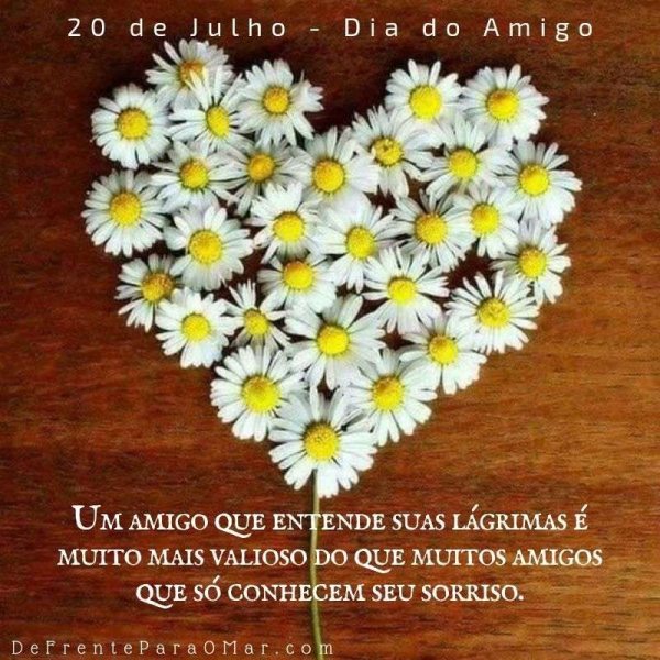 14 lindas  frases para o Dia do Amigo - 20 de Julho