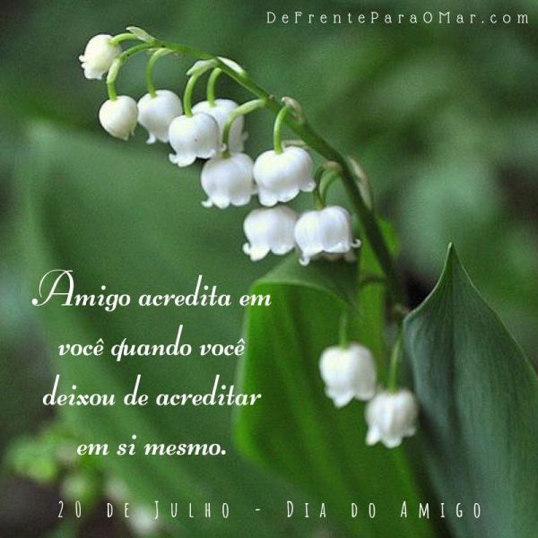 14 lindas  frases para o Dia do Amigo - 20 de Julho