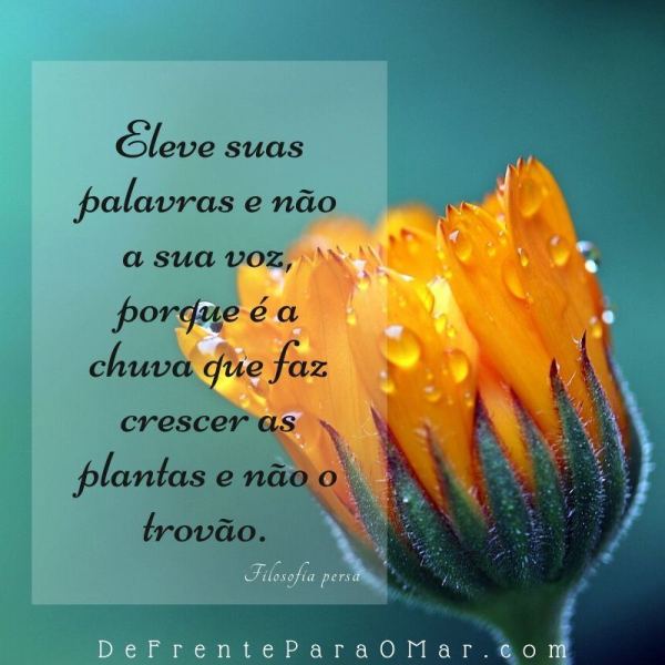 Feito luva: frases para compartilhar