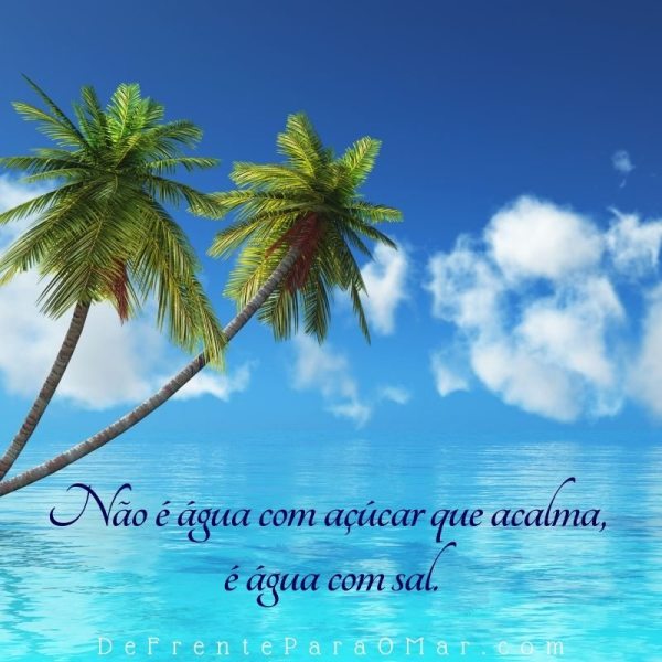 Feito luva: frases para compartilhar