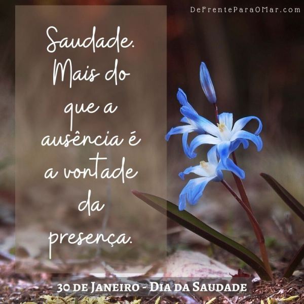 30 de Janeiro - Dia da Saudade - Saudade. Mais do que a ausência é a vontade da presença.