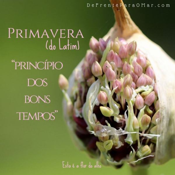 Primavera, do  Latim, princípio dos bons tempos