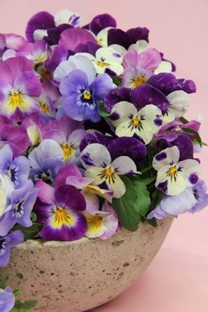decoração - vaso amor-perfeito - ultravioleta