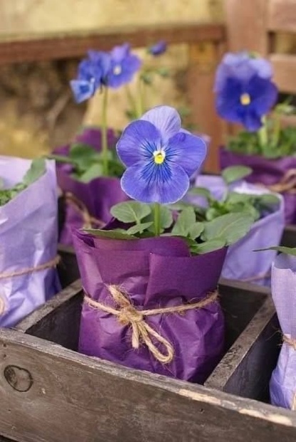 decoração ultravioleta - amor-perfeito