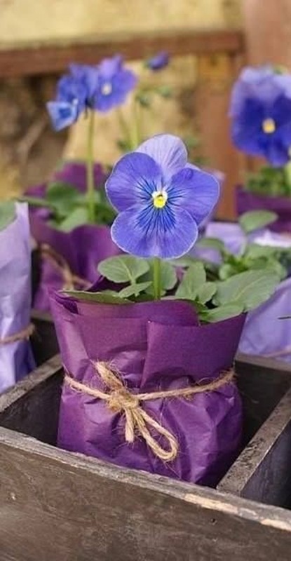 decoração ultravioleta - amor-perfeito