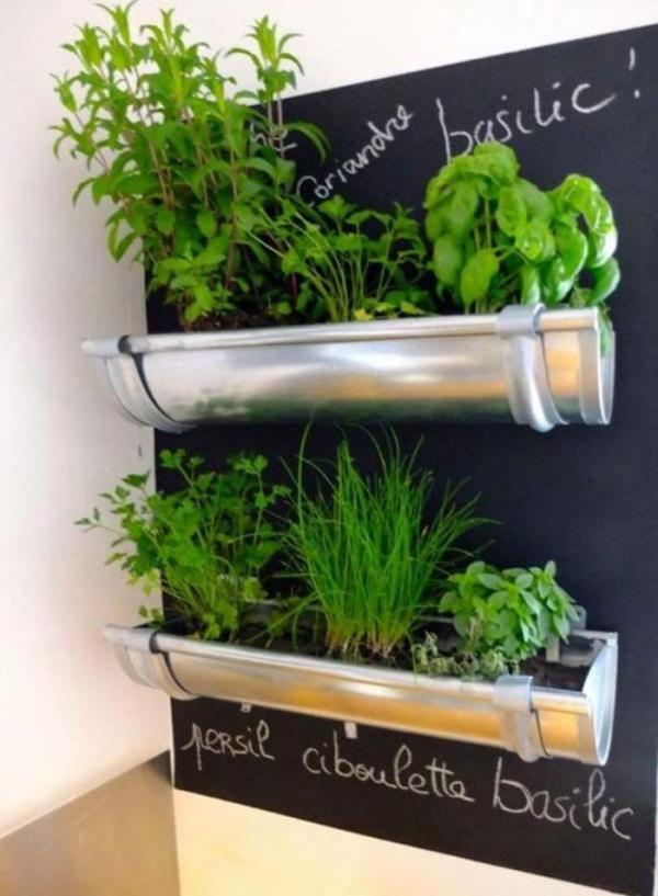 01-mini-horta